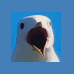 Seagull cube