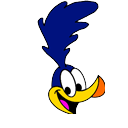Road Runner (Old)