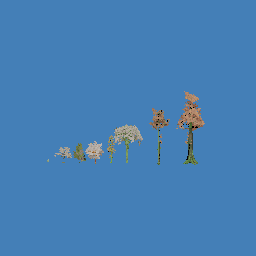 trees9