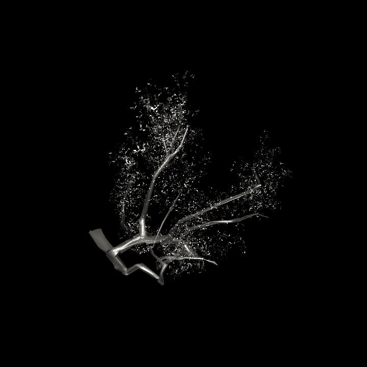 Glass 1 - tree 4