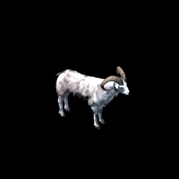 White Goat Animated