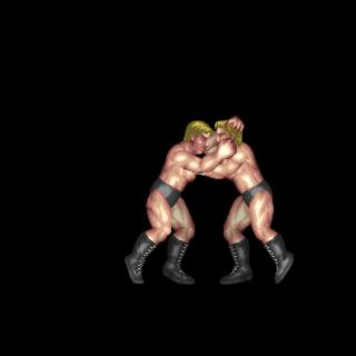 Northern Light Suplex