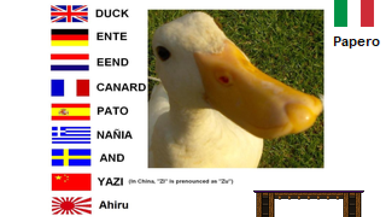 Duck language