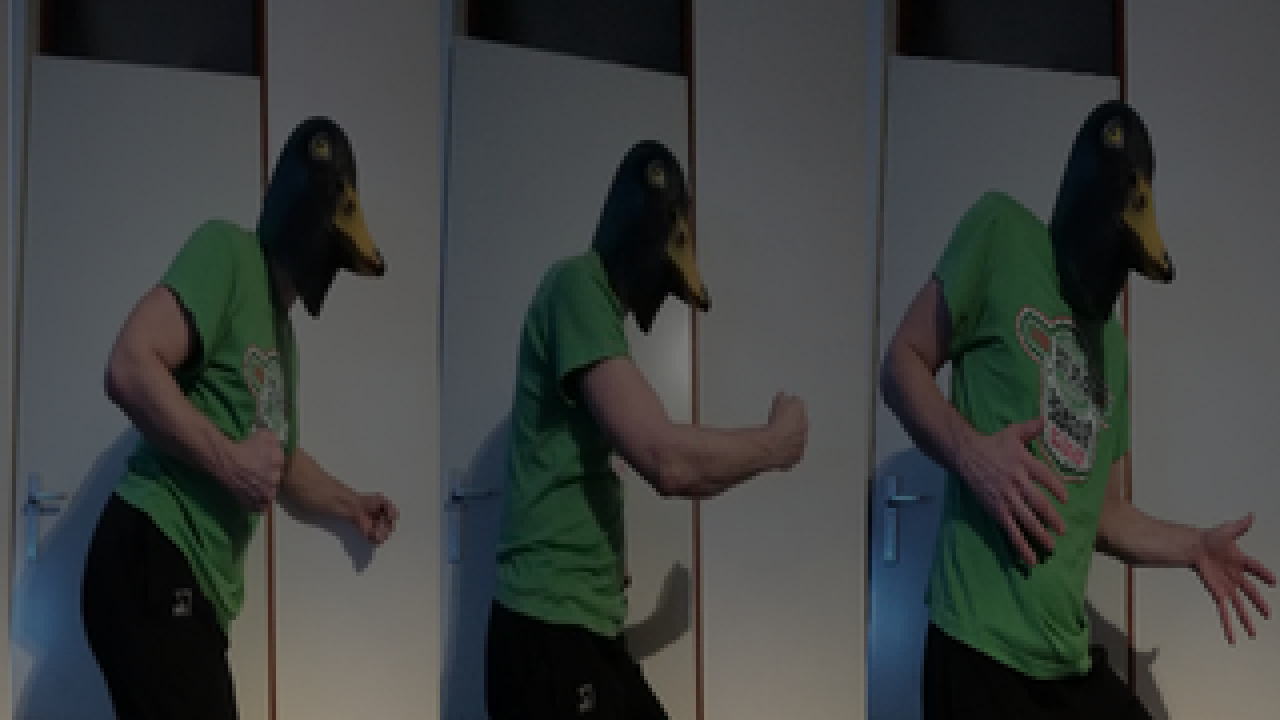 Running ducks