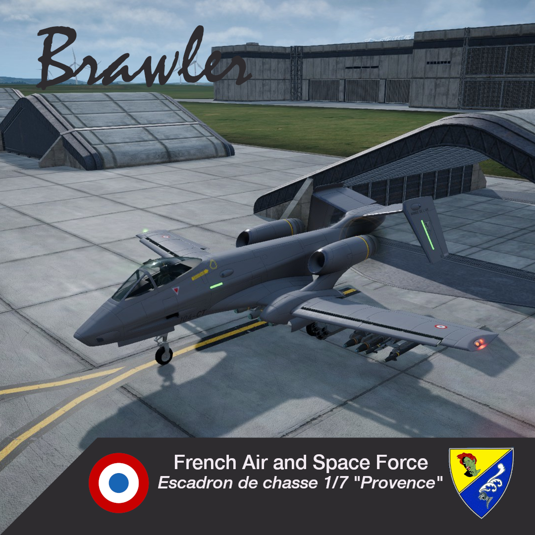 French Air Force EC 01.007