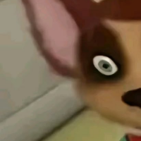 6767