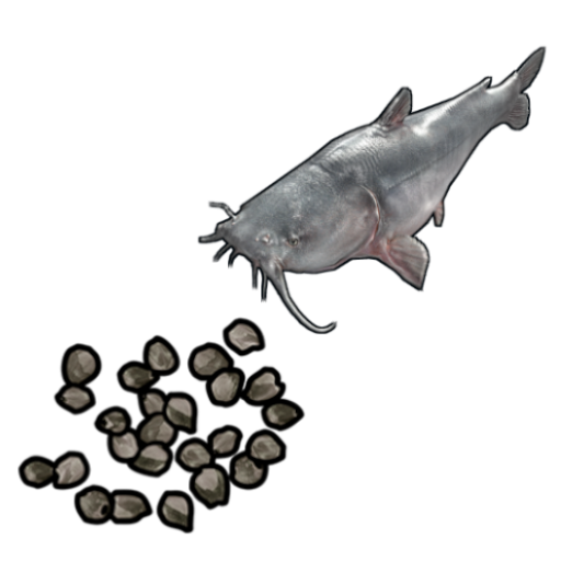 Catfish Seed
