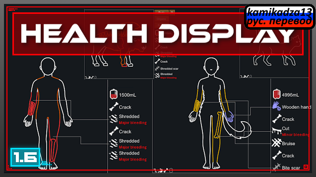 Health Display rus