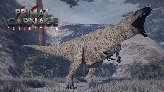 Polar Acro | Winter 2020