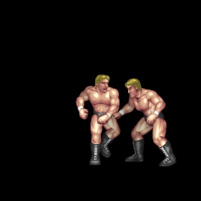 Feint Roundhouse to Sweep Kick