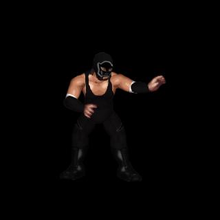 Dark Panther
