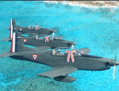 FAM Pilatus PC-7 preview
