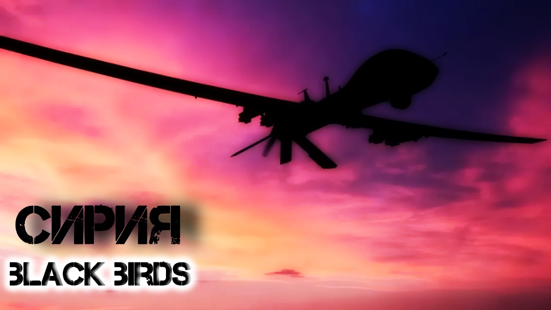[RES]SYRIA (black birds)