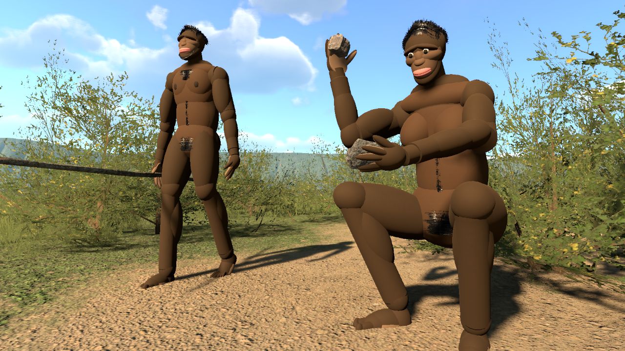 Homo erectus