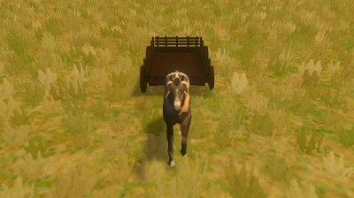 Horse Cart (Tractor and Trailer)