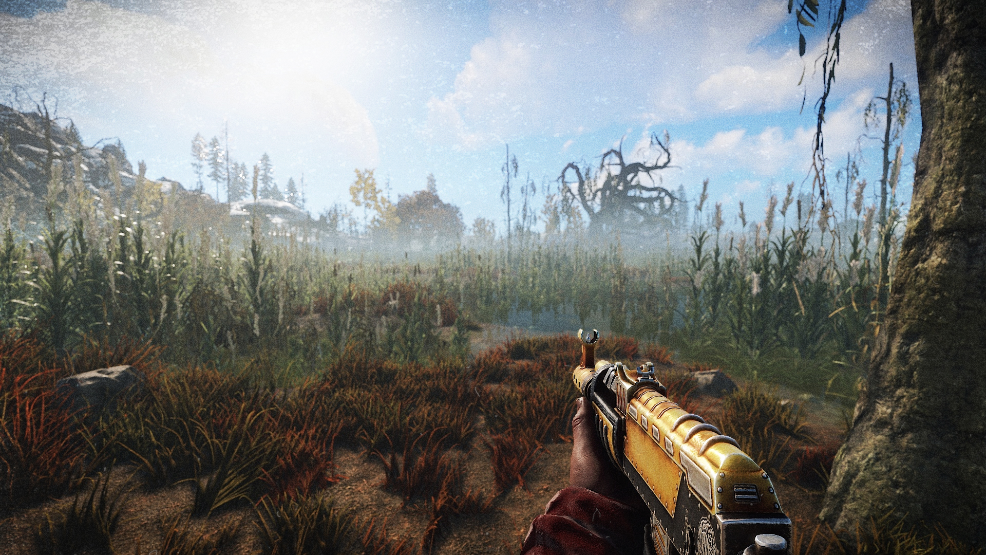 Trust In Rust 3 AR