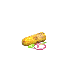 Corn on the Cob