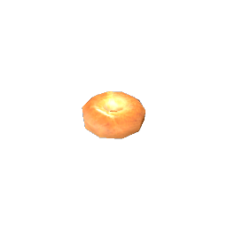 A plain bagel