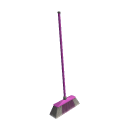 Broom Pink