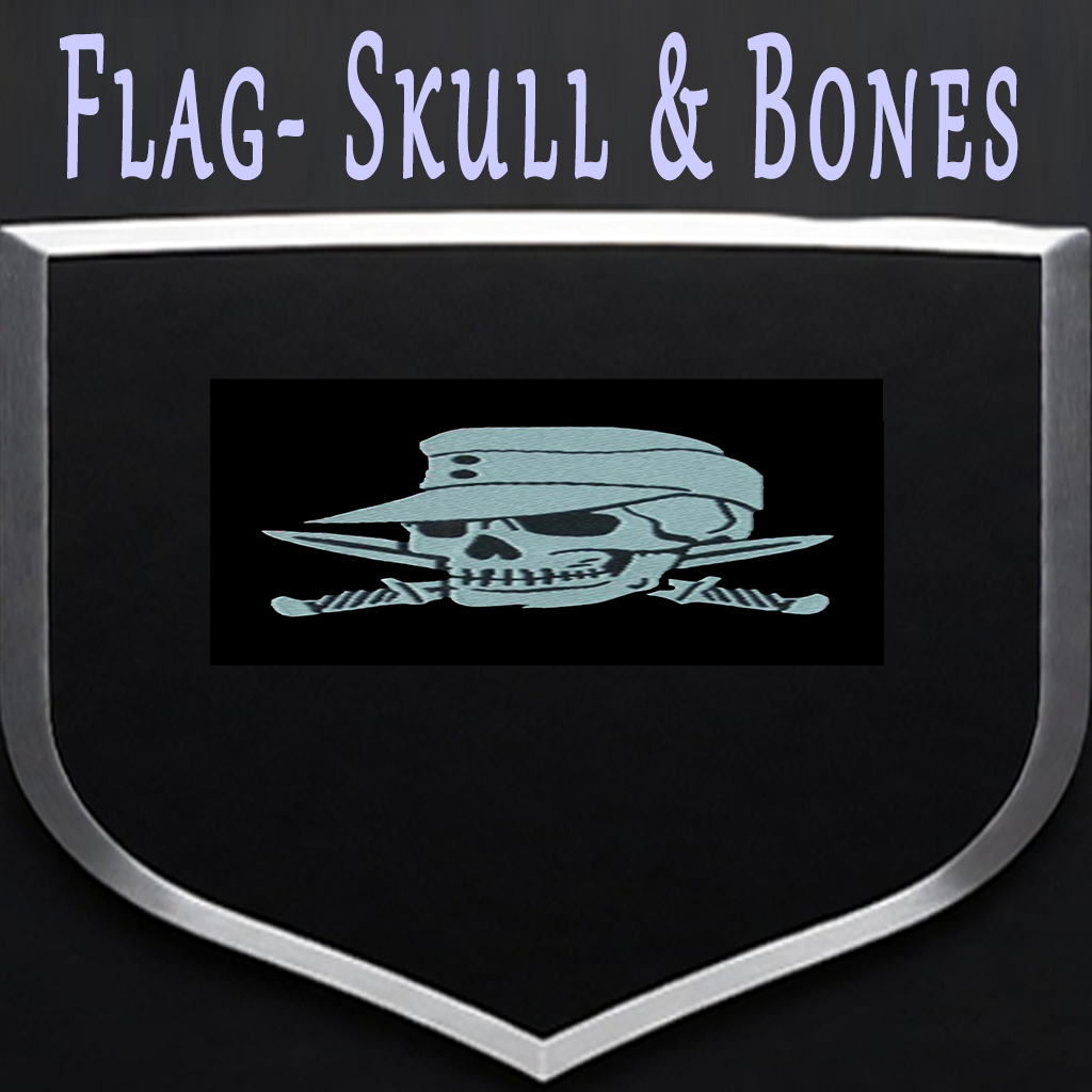 flag Skull & Bones v1