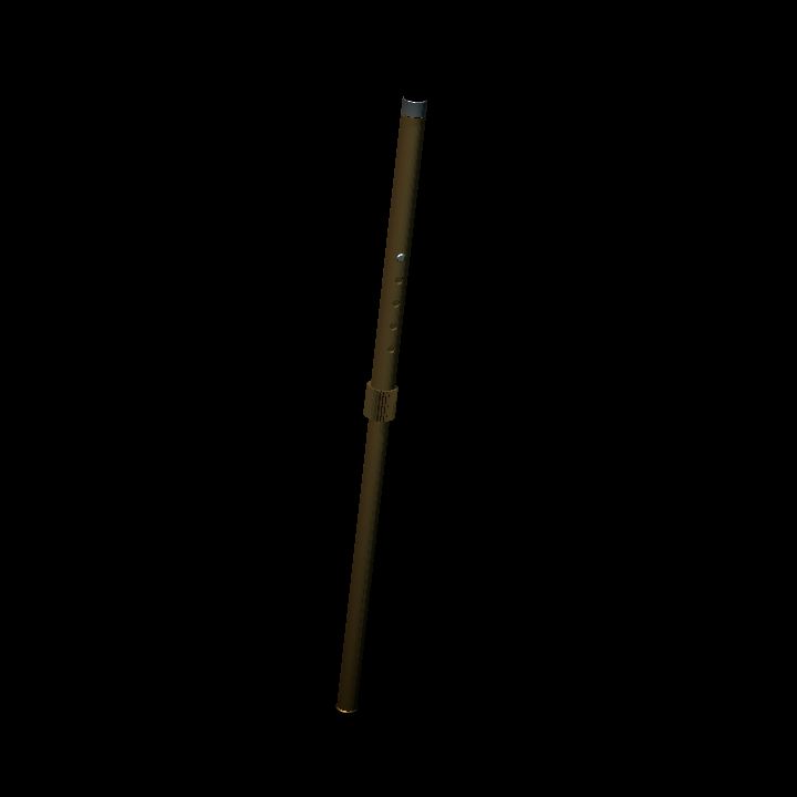 Cane