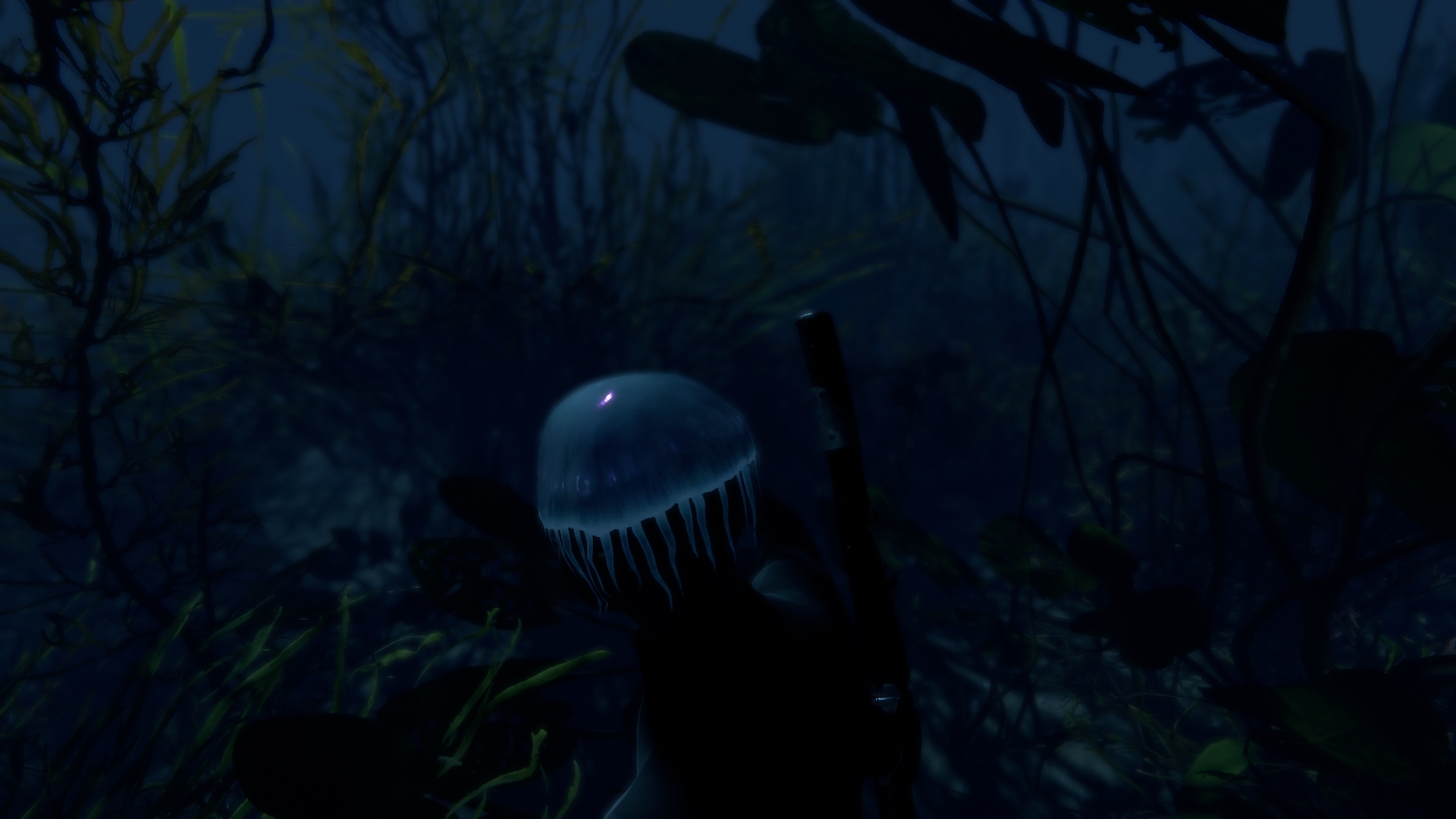 Jelly Headwrap thumbnail 4