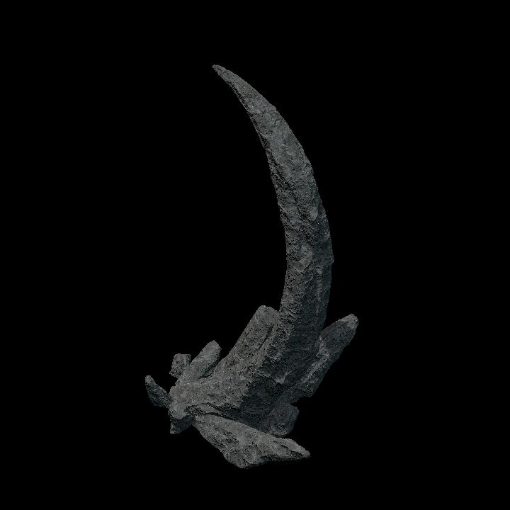 Rock Claw Large 1a