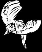 Bird A