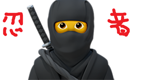 NinJa preview