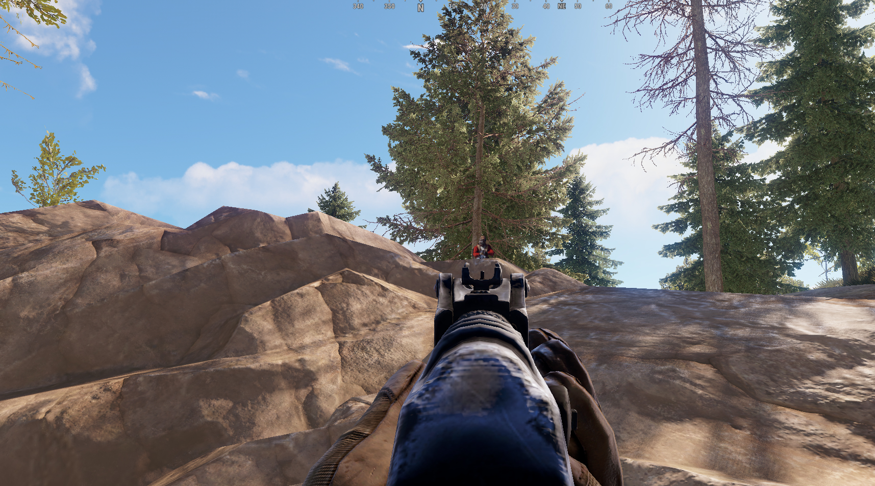 Decoy Target