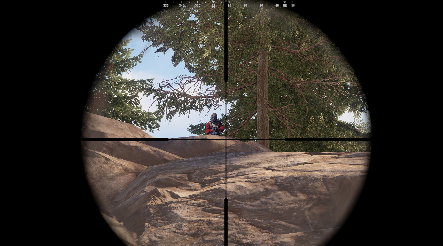 Decoy Target