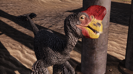 Barred Rock Oviraptor [Easter 2021]