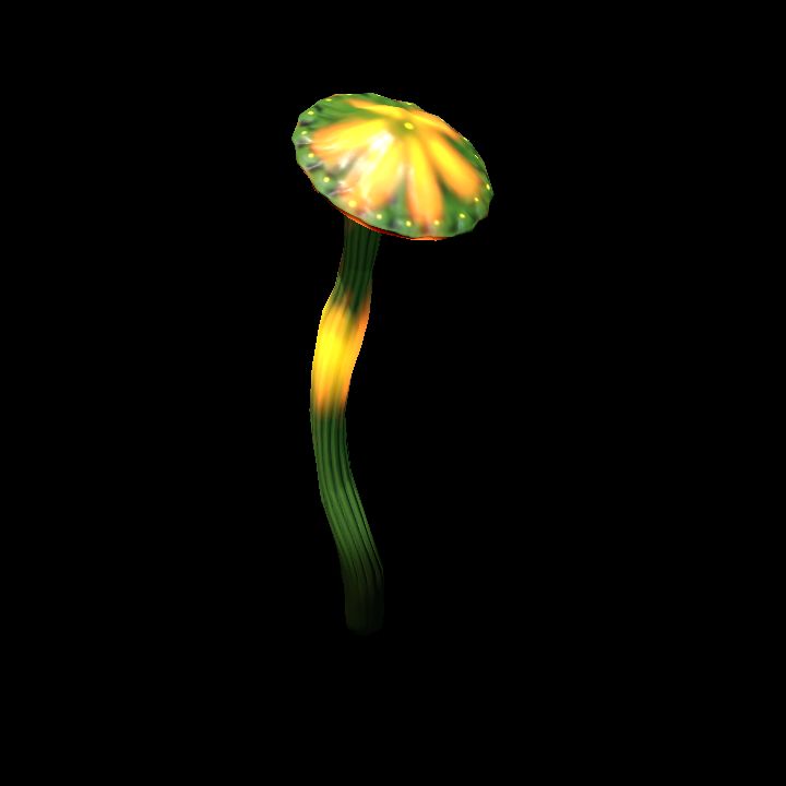 Mushroom_Small_2_3