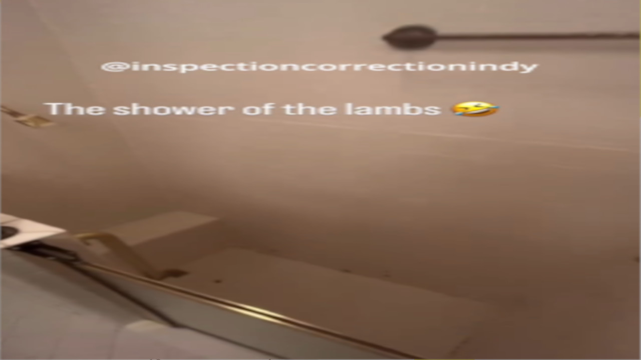 the shower of the lambs