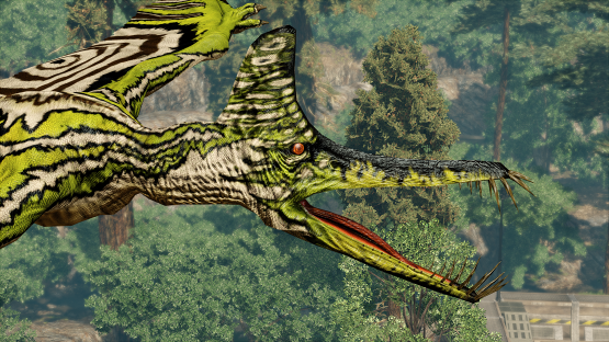 Guidracus Ptera