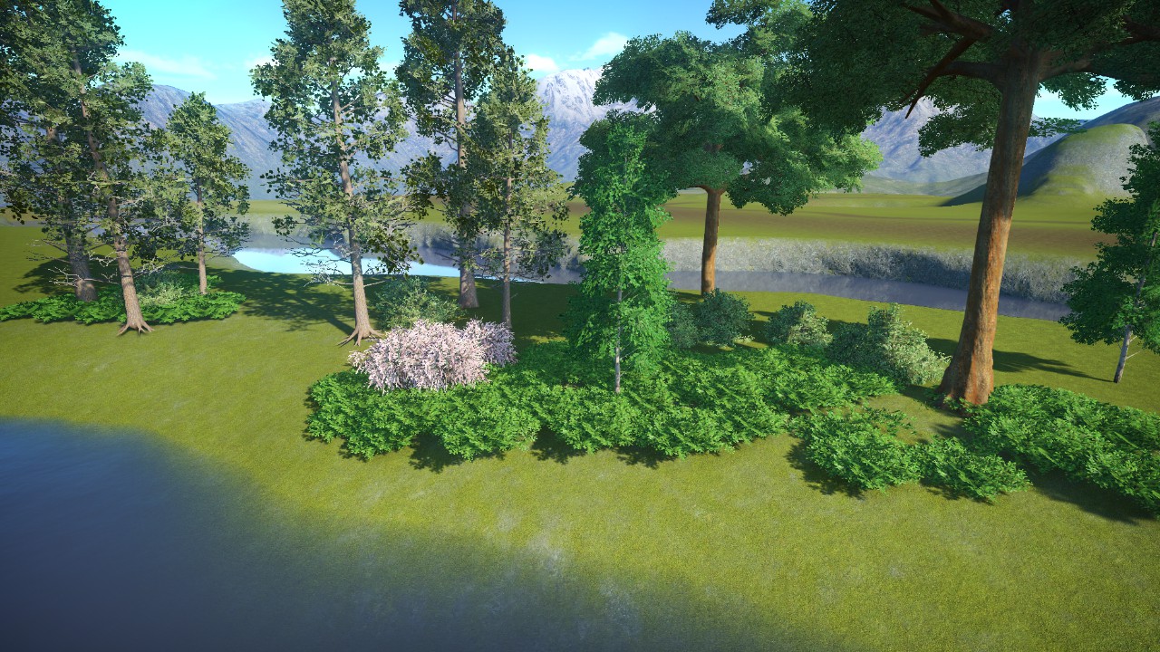 forest Brush 1