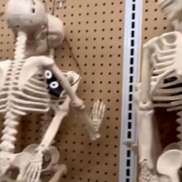 уйц