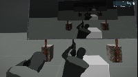 PIP CAM
