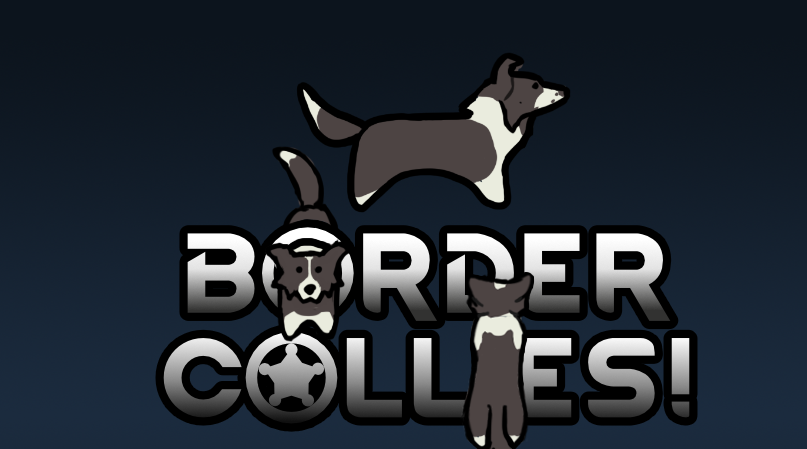 BorderCollies
