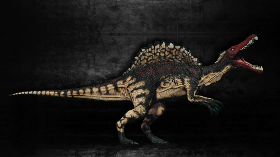 Liverpool Spino
