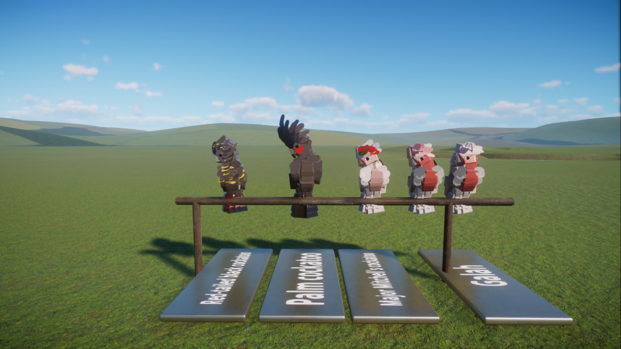 Drac's cockatoos
