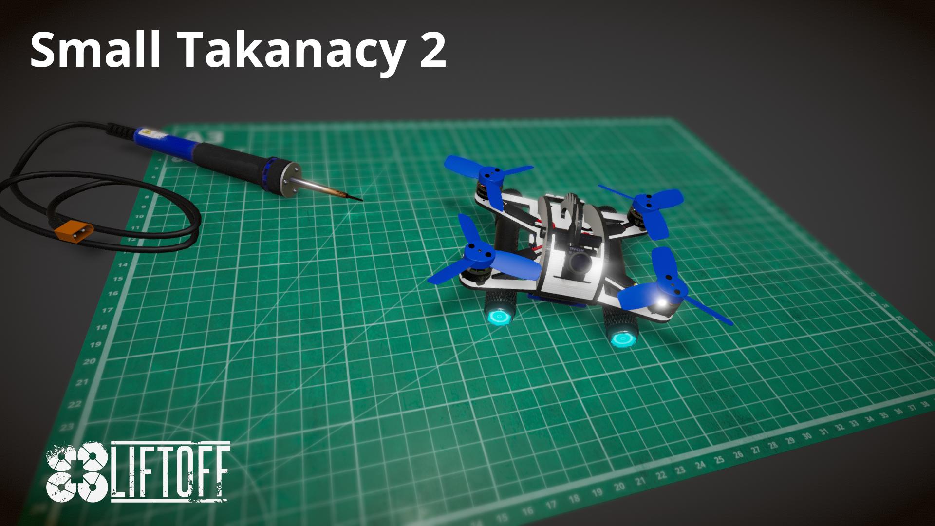Small Takanacy 2