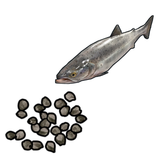 Salmon Seed