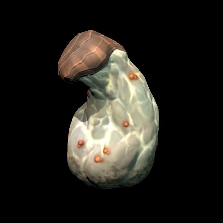 Mushroom_17