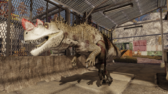 Crocodile Cerato