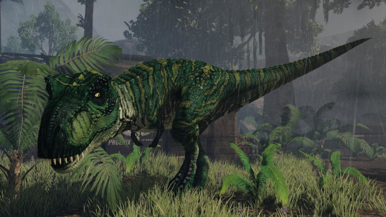 Jungle Alpha Rex