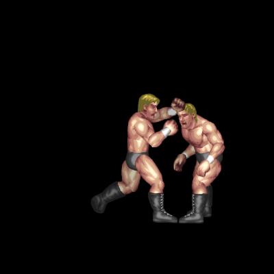 Franchise's Punch
