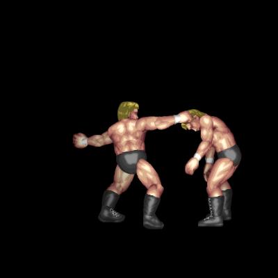 Ultimate Warrior's Punch