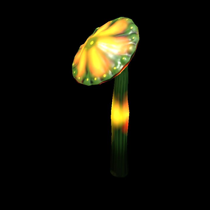 Mushroom_Small_2_4
