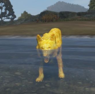 XXS服务器-无广告Animal_XXS_Wolf3